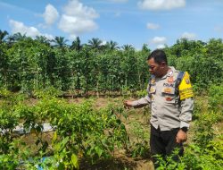 Mendukung Ketahanan Pangan, Personil Polsek sanaman mantikei Cek Lokasi Pemanfaatan Pekarangan Warga.