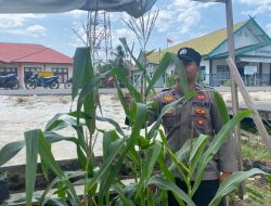 Polsek Tasik Payawan dan Kamipang Tinjau Lokasi Pemanfaatan Lahan Pekarangan Warga untuk Ketahanan Pangan