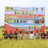 Dukung Ketahanan Pangan, Kapolda Kalteng Bersama Gubernur Panen Raya Padi di Kapuas