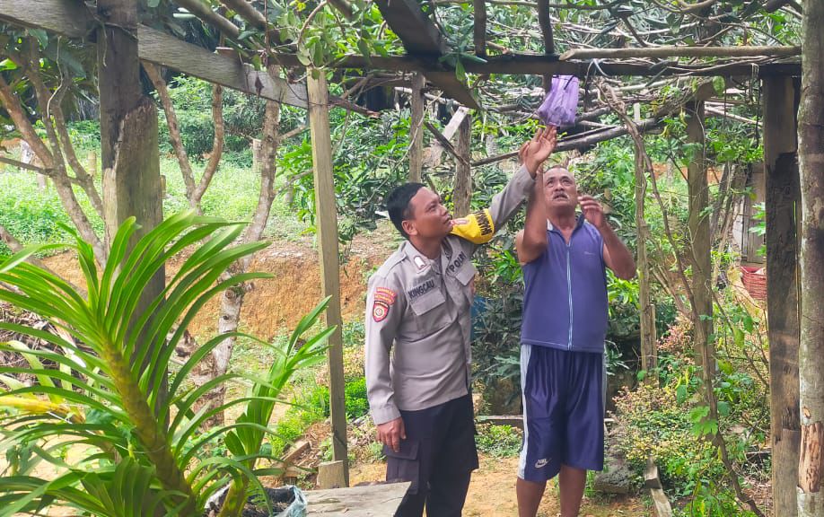 Dukung Ketahanan Pangan, Bhabinkamtibmas Polsek Bulik Silaturahmi ke masyarakat terkait Program Asta Cita Presiden RI