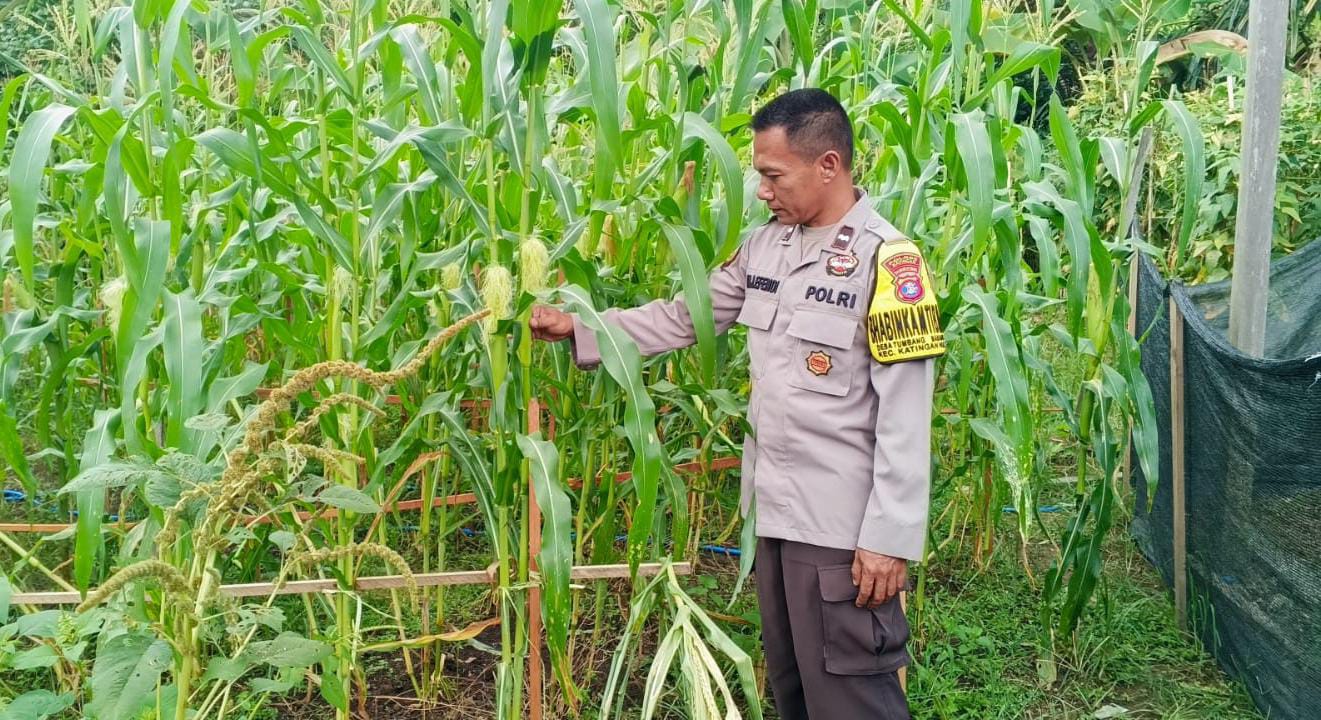 Mendukung Ketahanan Pangan, Personil Polsek Katingan Hulu Cek Lokasi Pemanfaatan Pekarangan Warga.