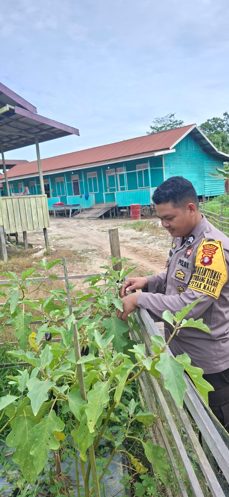 Mendukung Ketahanan Pangan, Personil Polsek sanaman mantikei Cek Lokasi Pemanfaatan Pekarangan Warga.