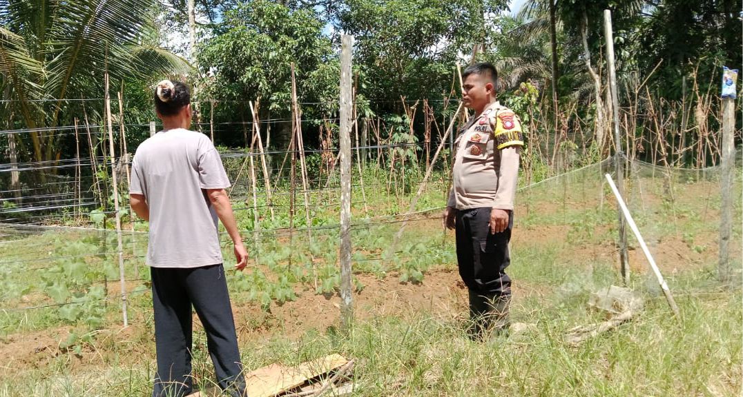 Dukung Ketahanan Pangan, Bhabinkamtibmas Polsek Sematu Jaya Silaturahmi ke masyarakat terkait Program Asta Cita Presiden RI
