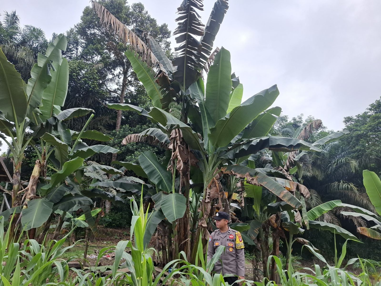 Dukung Ketahanan Pangan, Bhabinkamtibmas Polsek Lamandau Silaturahmi ke masyarakat terkait Program Asta Cita Presiden RI