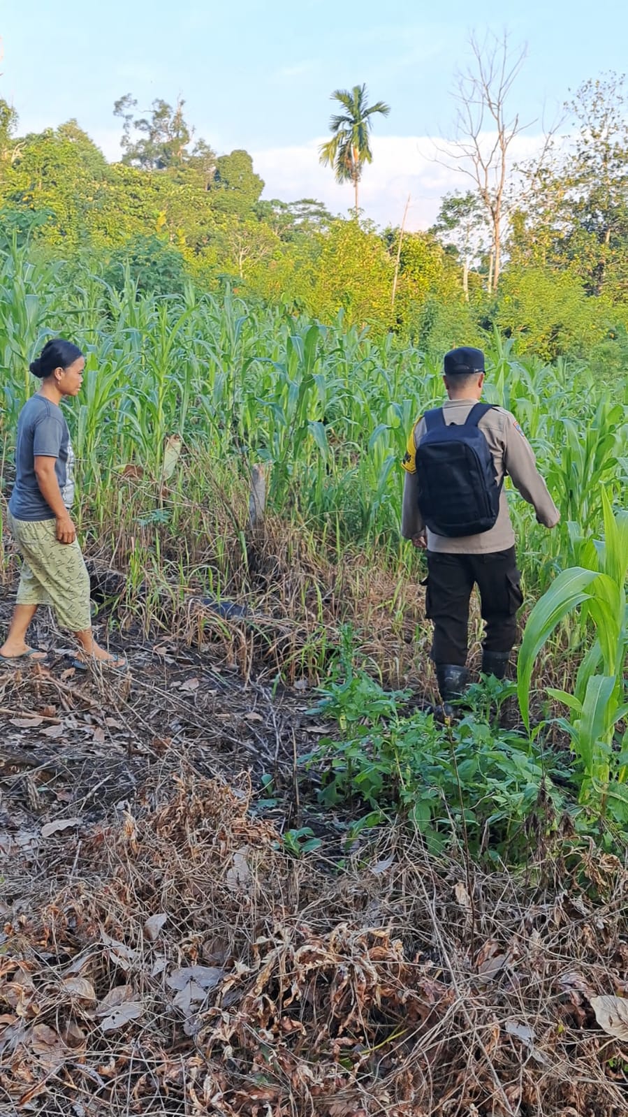 Mendukung Ketahanan Pangan, Personil Polsek Katingan Hulu dan Bukit Raya Cek Lokasi Pemanfaatan Pekarangan Warga.