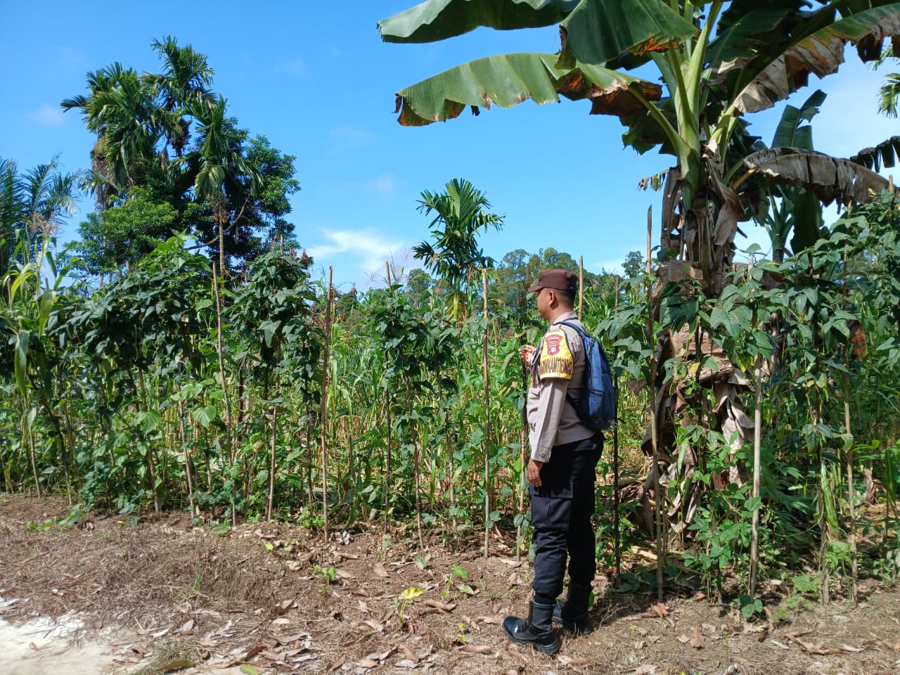Mendukung Ketahanan Pangan, Personil Polsek sanaman mantikei Cek Lokasi Pemanfaatan Pekarangan Warga.