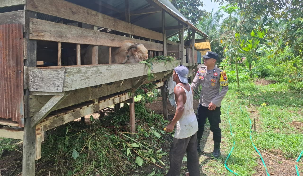Dukung Ketahanan Pangan, Bhabinkamtibmas Sambangi Peternak Kambing