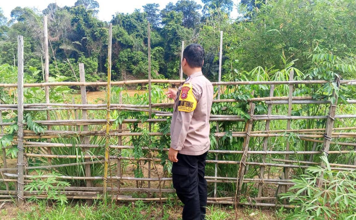 Mendukung Ketahanan Pangan, Personil Polsek Katingan Hulu Cek Lokasi Pemanfaatan Pekarangan Warga.