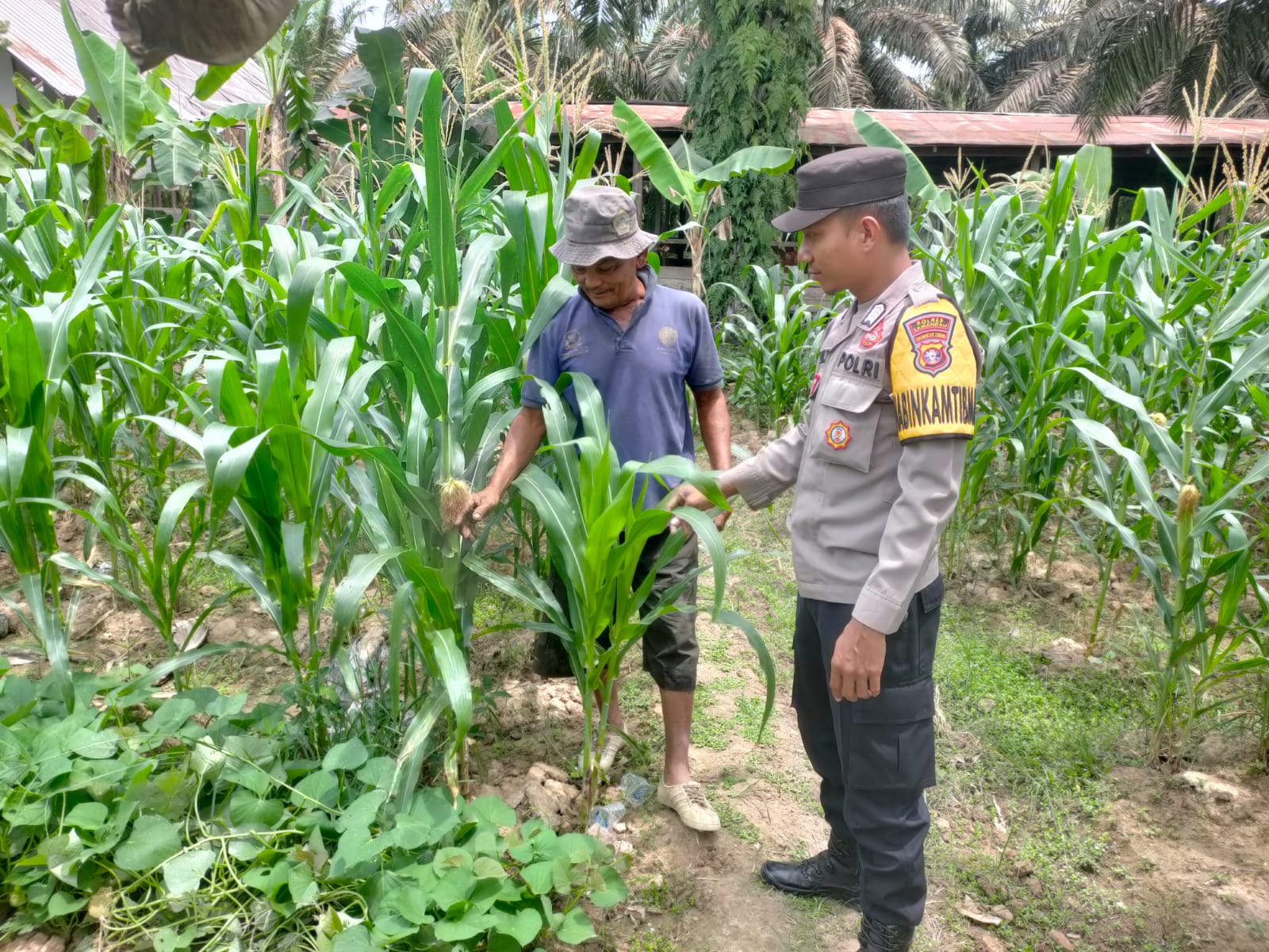 Dukung Ketahanan Pangan, Bhabinkamtibmas Polsek Sematu Jaya Silaturahmi ke masyarakat terkait Program Asta Cita Presiden RI