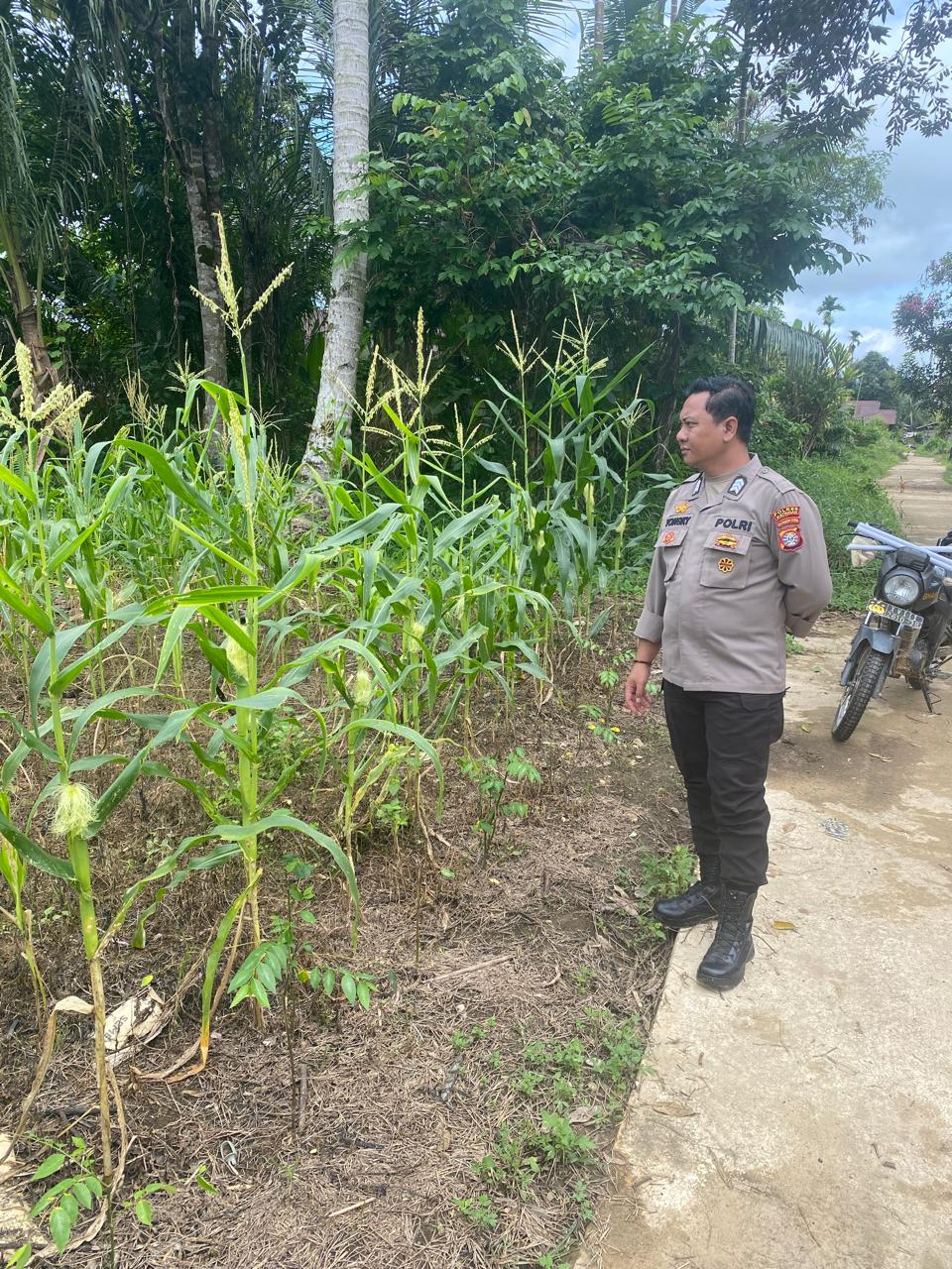 Mendukung Ketahanan Pangan, Personil Polsek sanaman mantikei Cek Lokasi Pemanfaatan Pekarangan Warga.