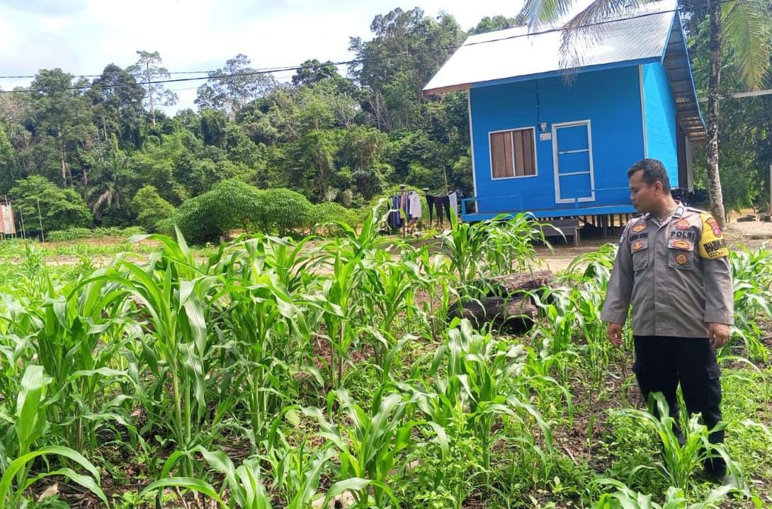 Mendukung Ketahanan Pangan, Personil Polsek Katingan Hulu Cek Lokasi Pemanfaatan Pekarangan Warga.
