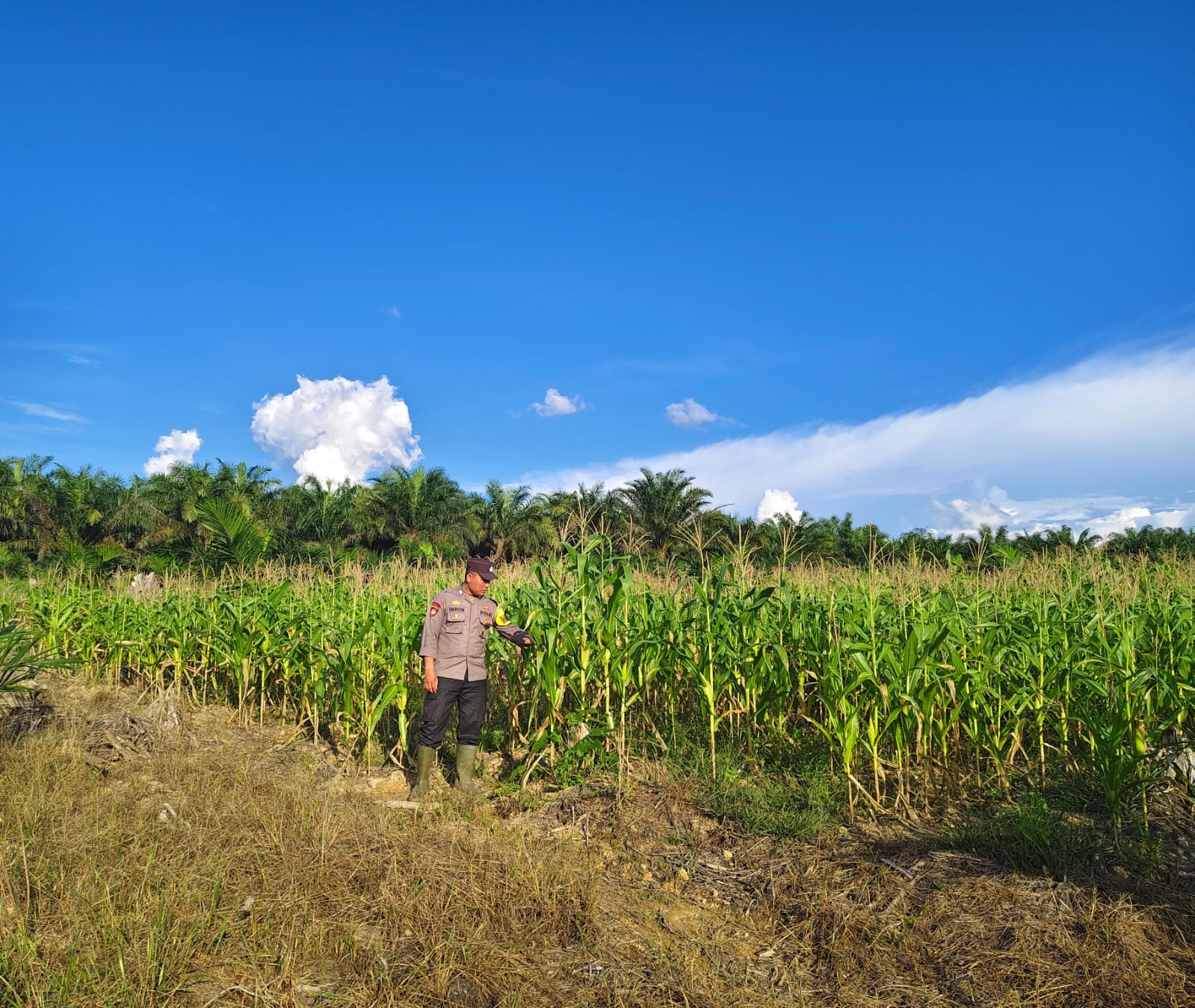 Bhabinkamtibmas Polsek Sematu Jaya Sambang ke masyarakat Terkait Ketahanan Pangan