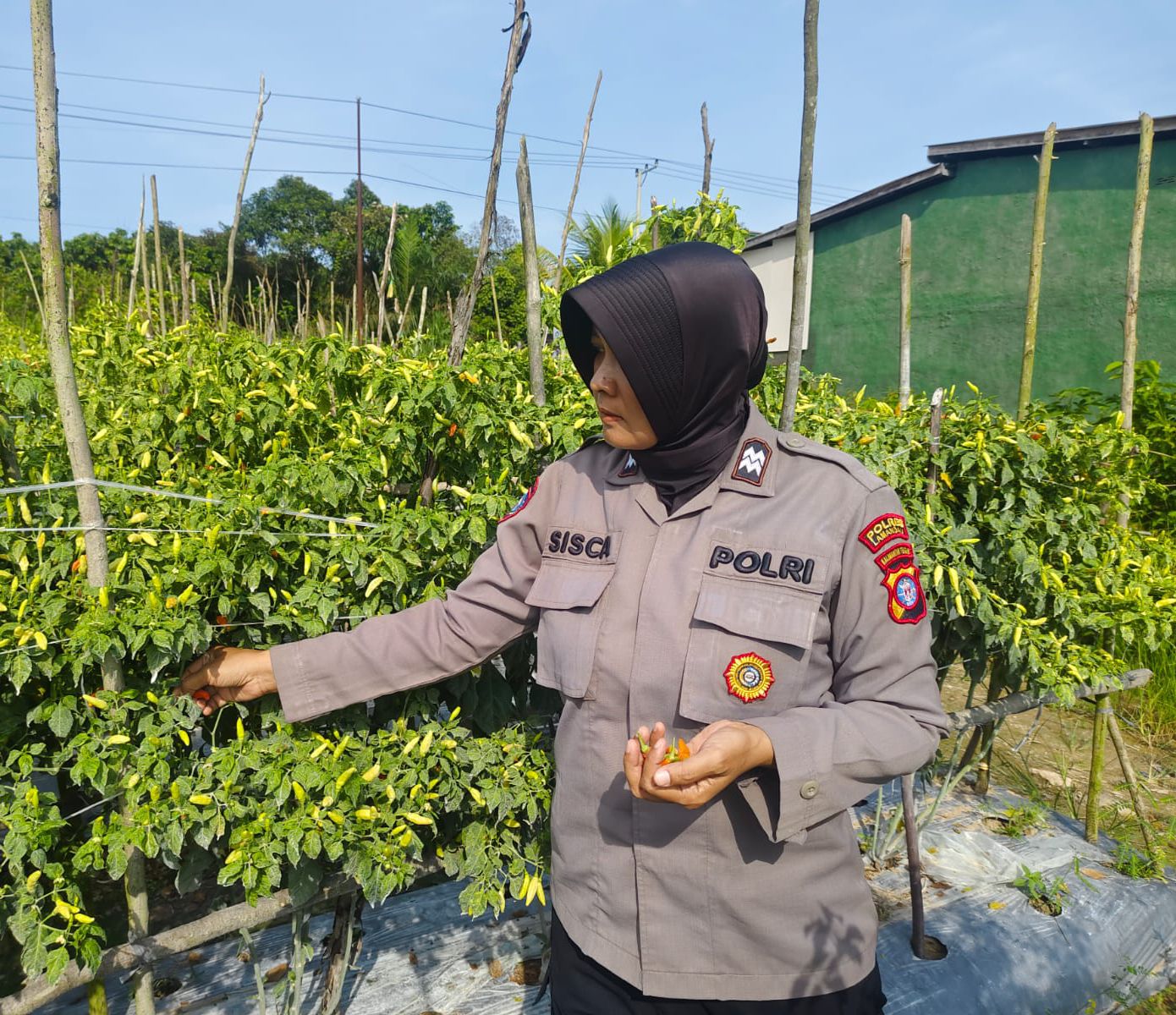 Satbinmas Polres Lamandau Ajak Warga memanfaatkan lahan, Dukung Program Ketahanan Pangan