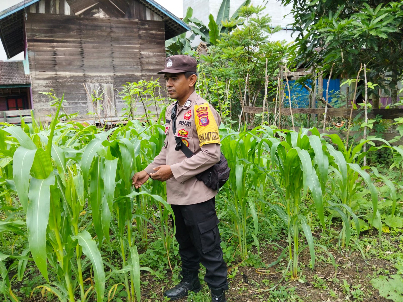 Mendukung Program Pemerintah Polsek Marikit Cek Lokasi Pemanfaatan Pekarangan Warga di Kec. Marikit, Kab. Katingan