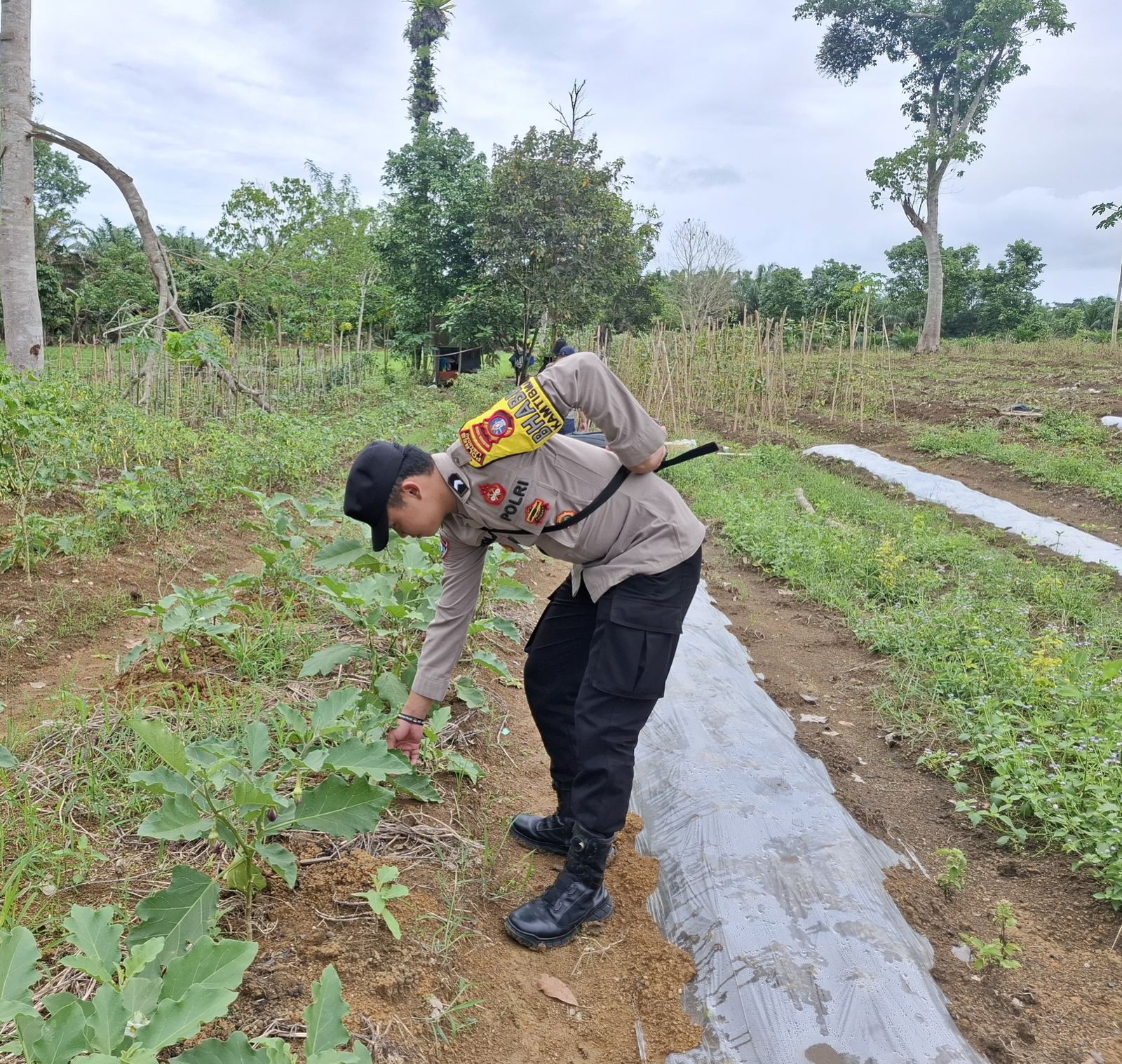 Dukung Ketahanan Pangan, Bhabinkamtibmas Polsek Lamandau Silaturahmi ke masyarakat terkait Program Asta Cita Presiden RI