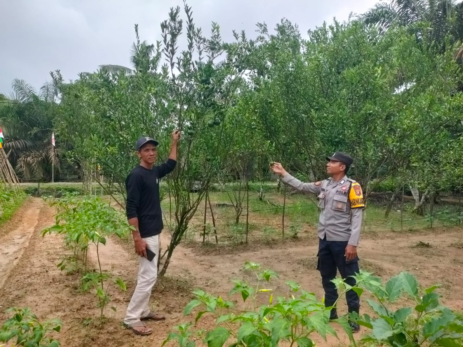 Dukung Ketahanan Pangan, Bhabinkamtibmas Polsek Sematu Jaya Silaturahmi ke masyarakat terkait Program Asta Cita Presiden RI