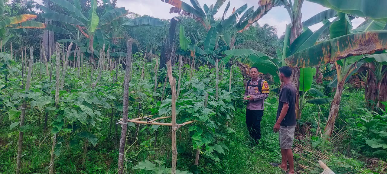 Dukung Ketahanan Pangan, Bhabinkamtibmas Polsek Bulik Silaturahmi ke masyarakat terkait Program Asta Cita Presiden RI
