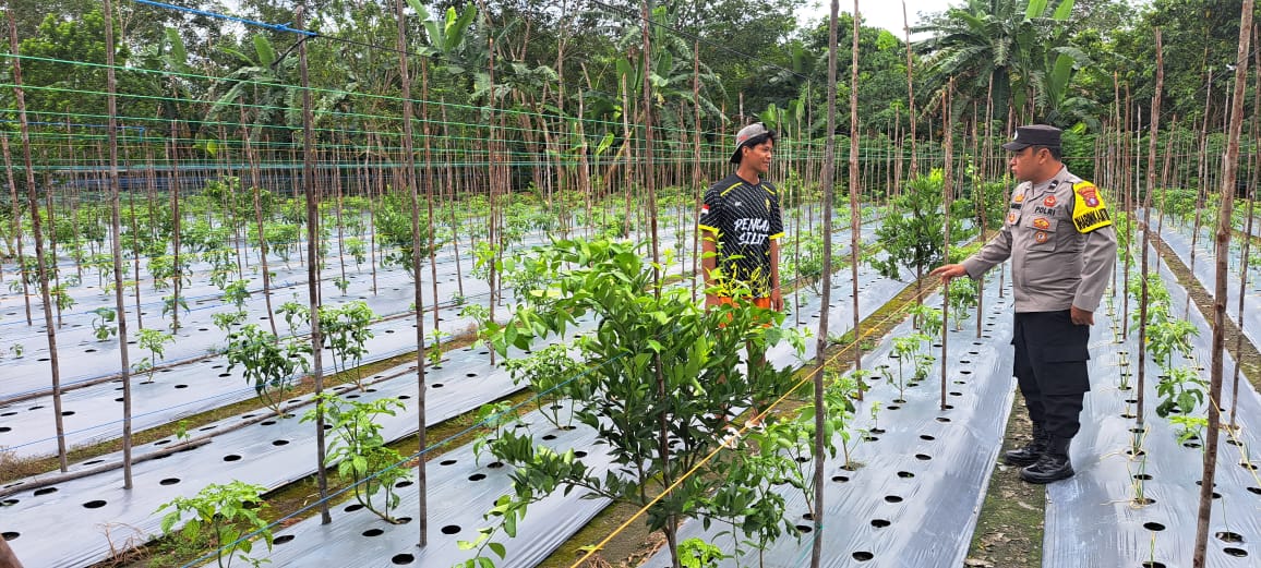 Bhabin Polsek Tws Garing gencar gencar dan Pulau Malan rutin sosialisasi larangan ilegal Logging dan Meaning.