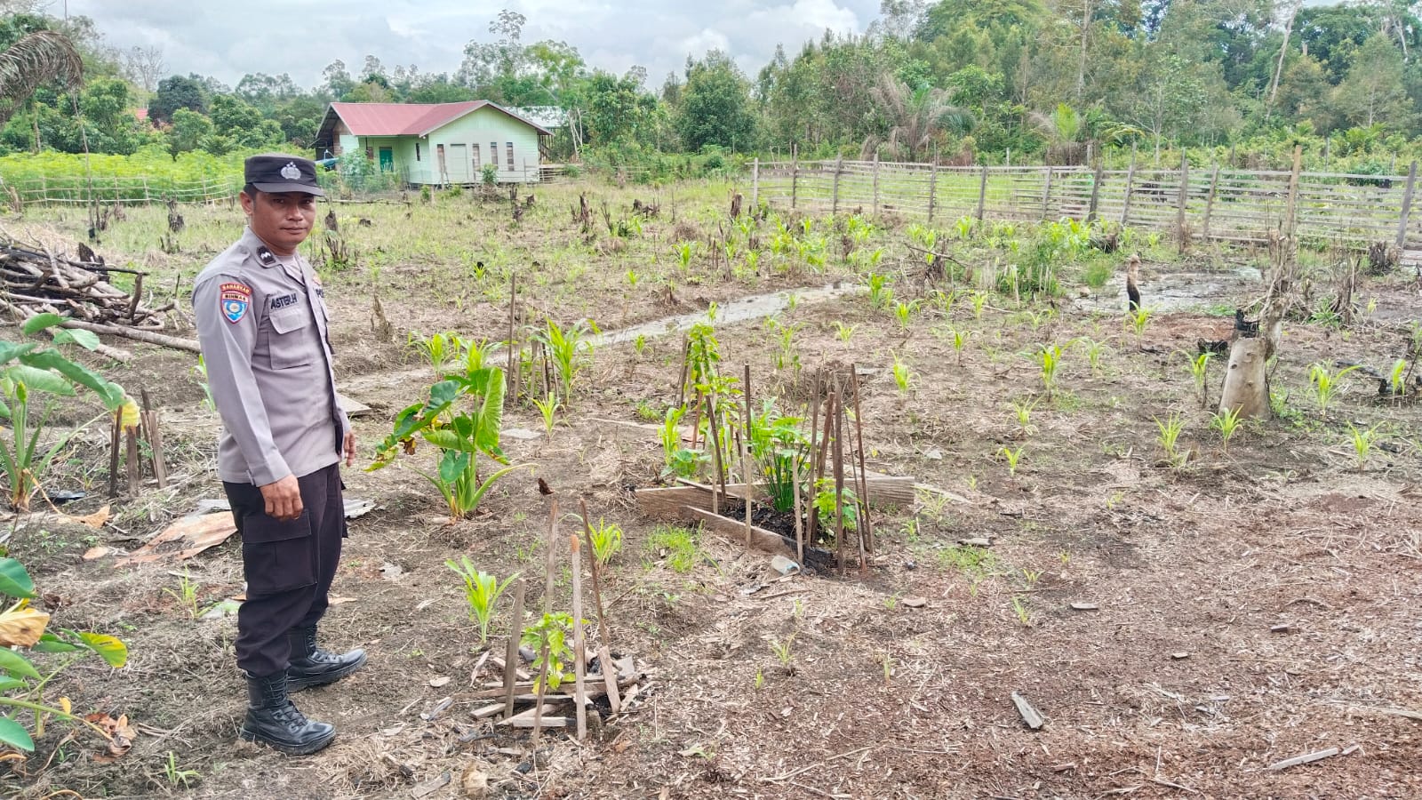 Dukung Ketahanan Pangan, Piket Polsek Marikit Cek Lokasi Pemanfaatan Pekarangan.