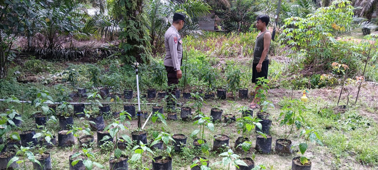 Dukung Ketahanan Pangan, Bhabinkamtibmas Polsek Lamandau Silaturahmi ke masyarakat terkait Program Asta Cita Presiden RI