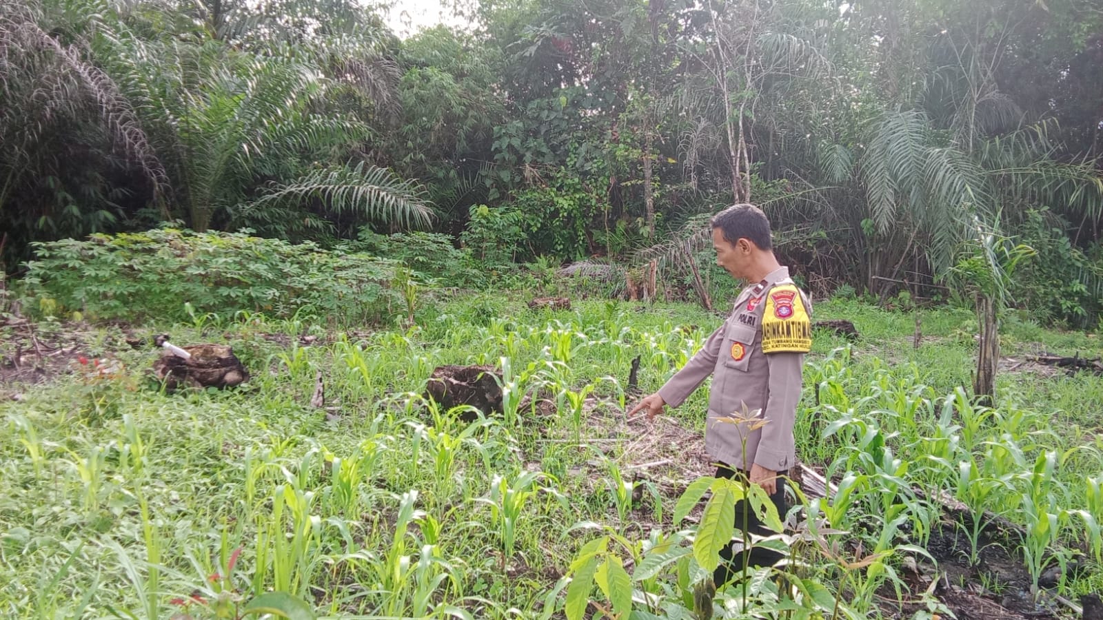 Mendukung Ketahanan Pangan, Personil Polsek Katingan Hulu Cek Lokasi Pemanfaatan Pekarangan Warga.