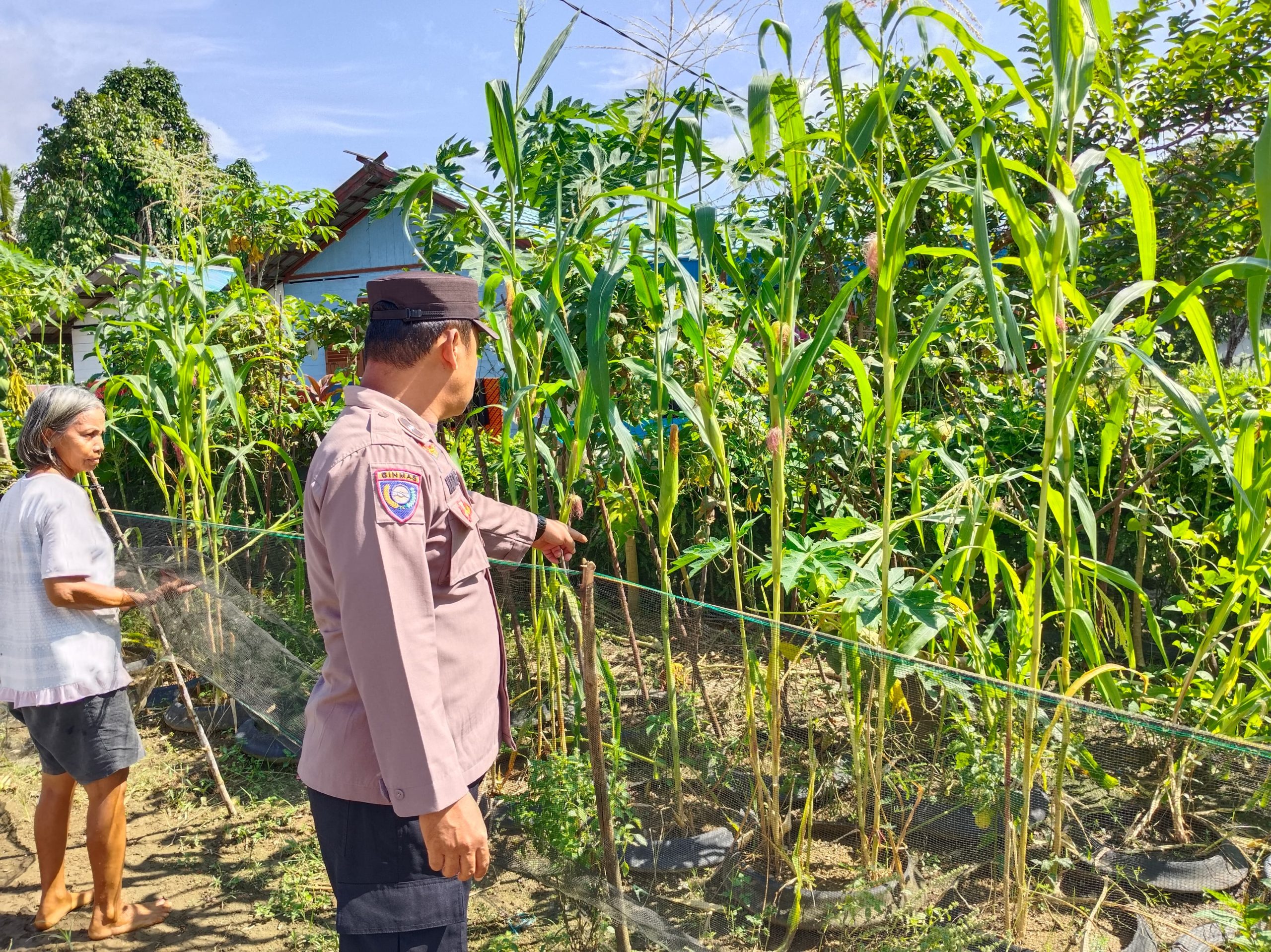 Bhabin Polsek Tws Garing gencar gencar dan Pulau Malan rutin sosialisasi larangan ilegal Logging dan Meaning.
