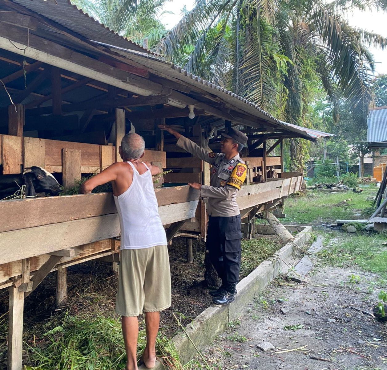 Dukung Ketahanan Pangan, Bhabinkamtibmas Sambangi Peternak Kambing