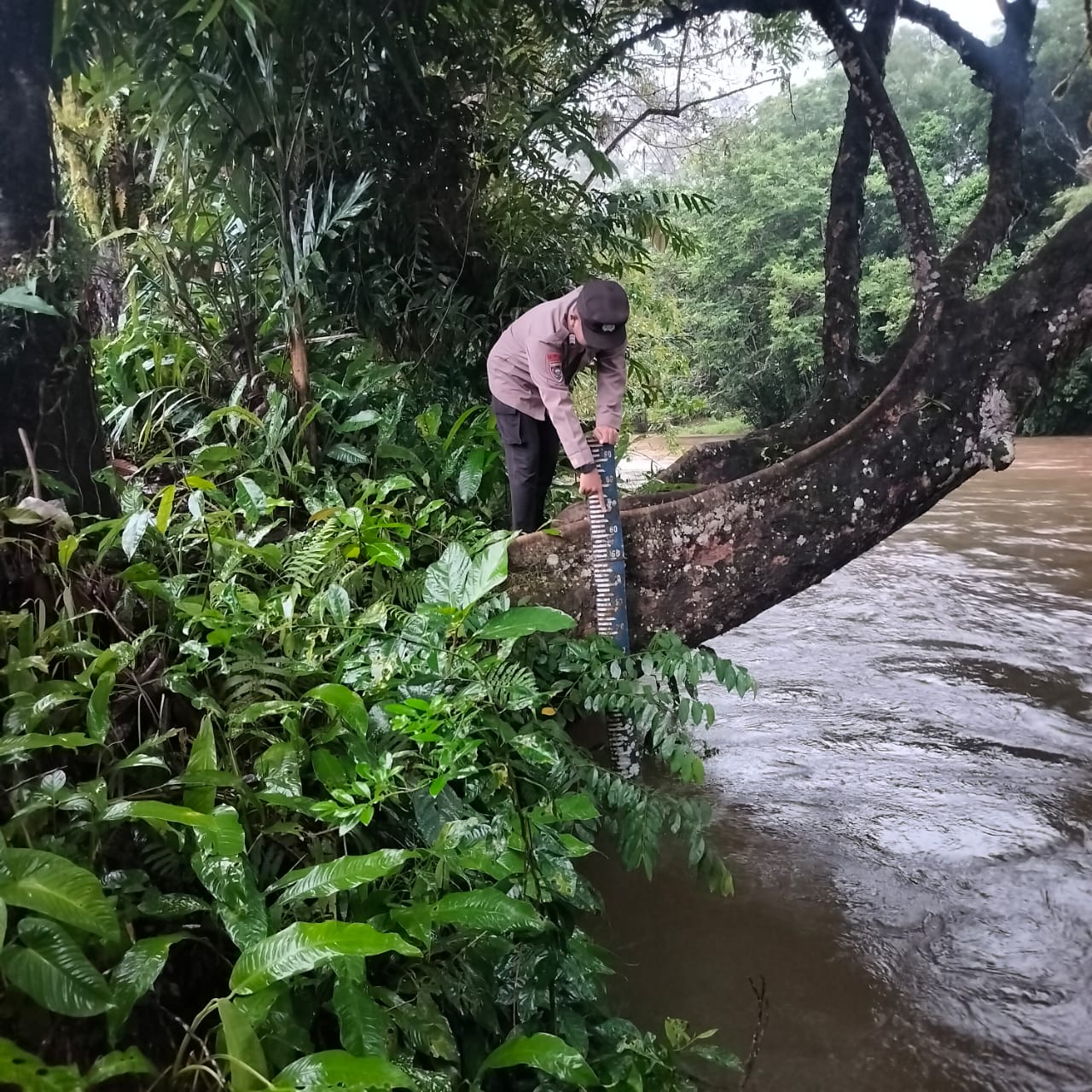 Piket Polsek Delang cek debit air DAS Delang