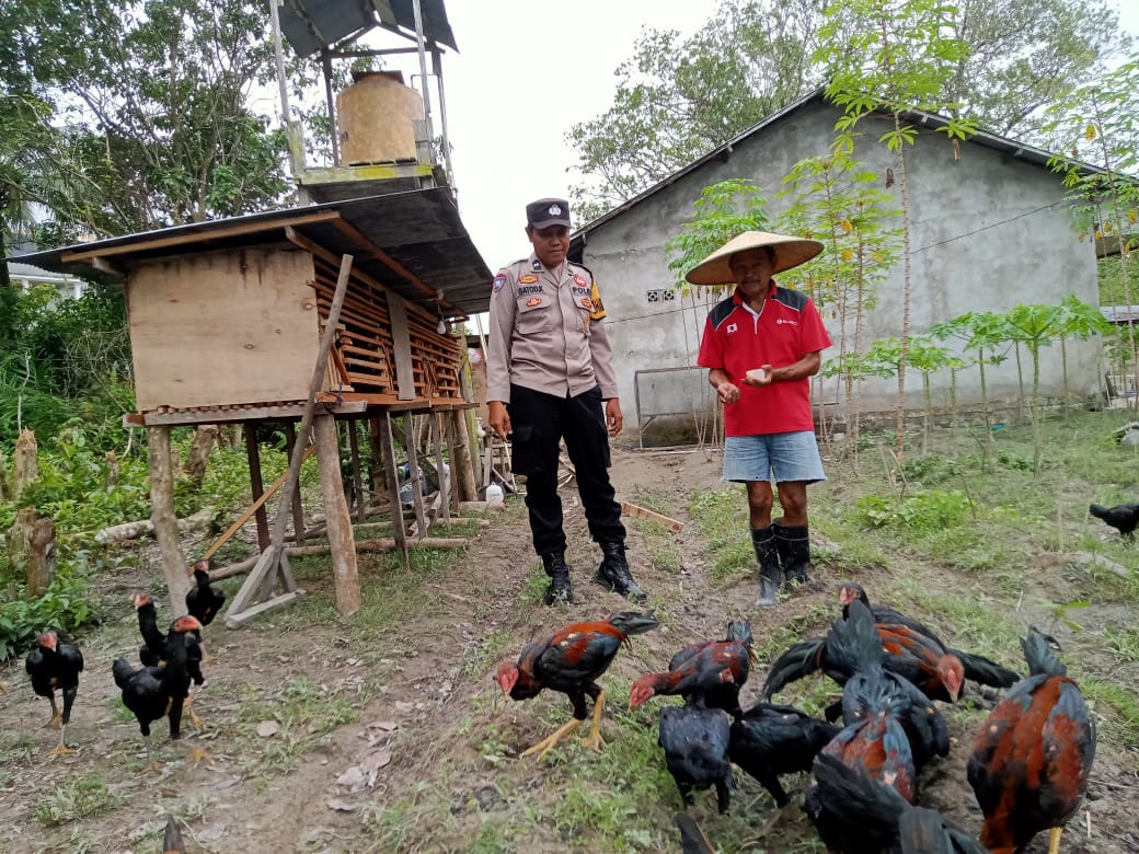 Dukung Program Ketahanan Pangan, Bhabinkamtibmas Desa Binaanya Sambang Peternak Ayam Kampung