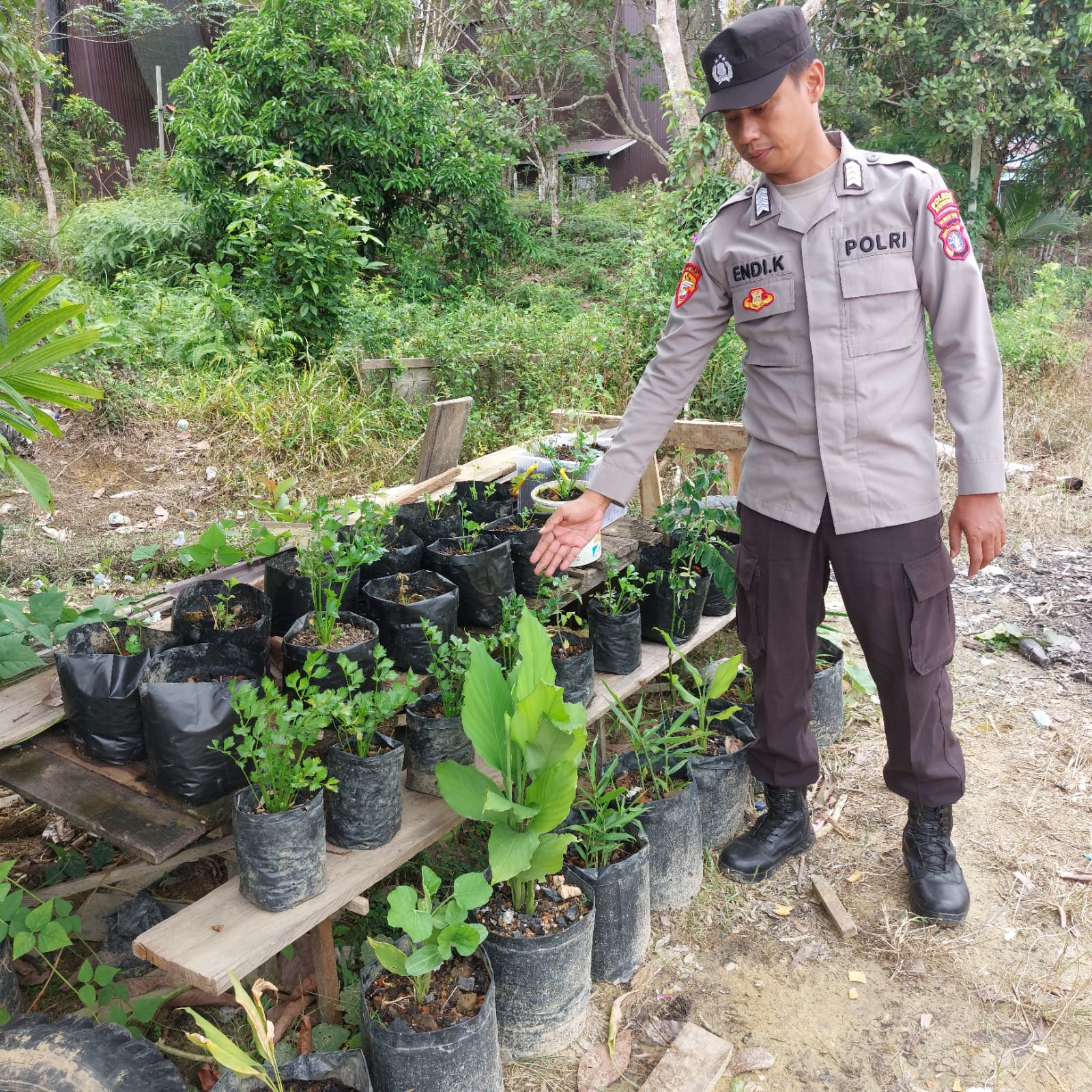 Dukung Ketahanan Pangan, Peraonil Polsek Marikit Cek Lokasi Pemanfaatan Pekarangan.