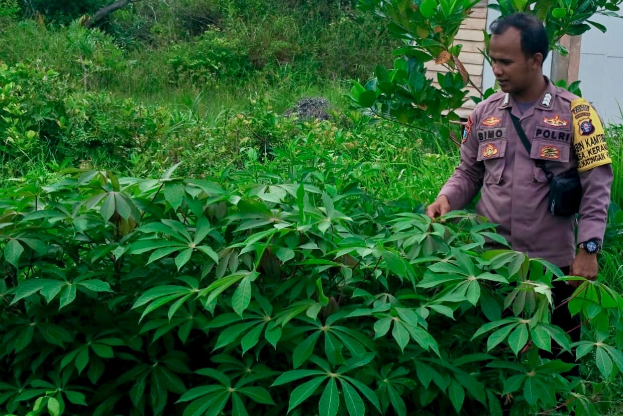 Bhabinkamtibmas Polsek Katingan Kuala cek lokasi pemanfaatan pekarangan rumah warga binaan