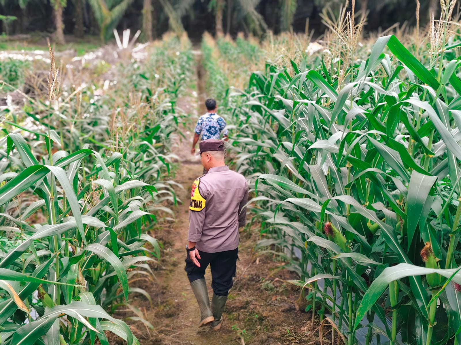 Bhabinkamtibmas Polsek Sematu Jaya Sambang ke masyarakat Terkait Ketahanan Pangan
