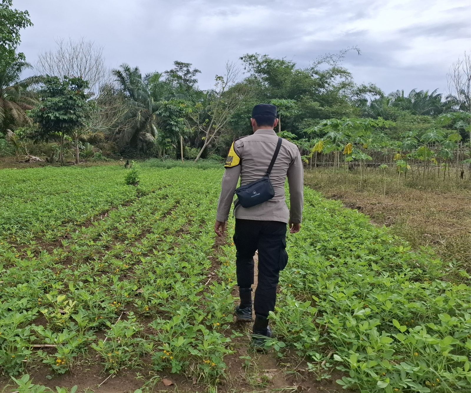 Dukung Ketahanan Pangan, Bhabinkamtibmas Polsek Lamandau Silaturahmi ke masyarakat terkait Program Asta Cita Presiden RI