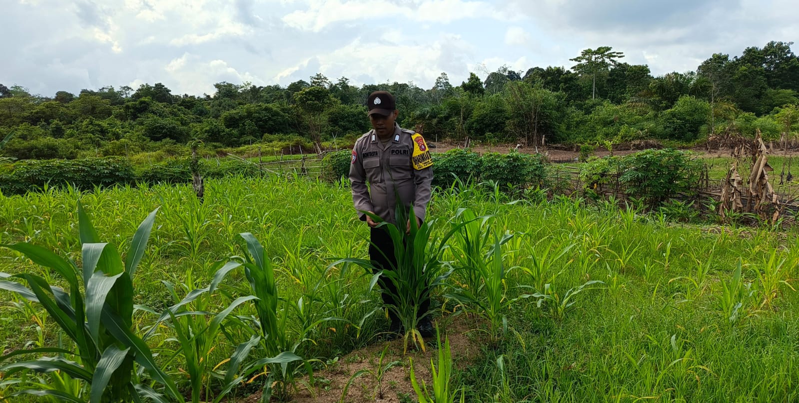 Dukung Ketahanan Pangan, Piket Polsek Marikit Cek Lokasi Pemanfaatan Pekarangan.