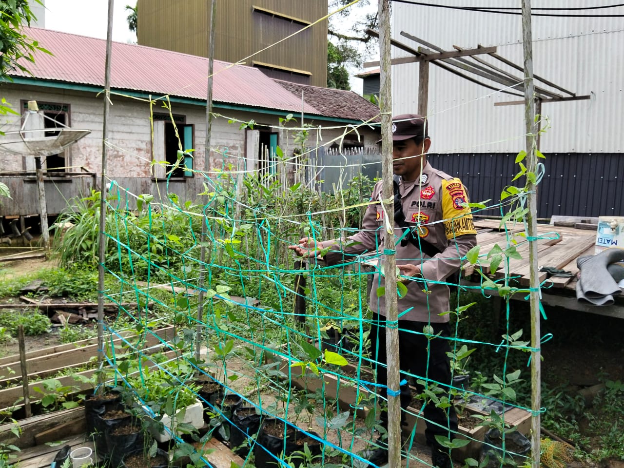 Bhabinkamtibmas Cek Lokasi Pemanfaatan Pekarangan Warga di Kec. Marikit, Kab. Katingan Dukung Program Pemerintah.