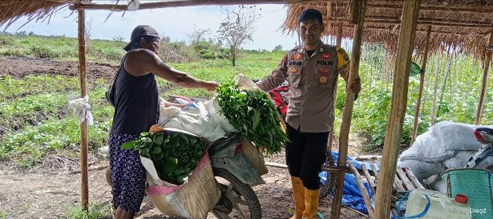 Mendukung Katahan Pangan, Bhabinkamtibmas Desa jaya makmur Cek Lokasi Pemanfaatan Lahan Warga