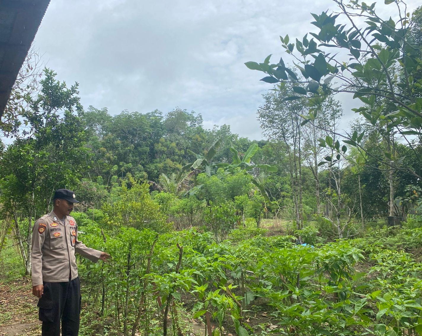 Mendukung Ketahanan Pangan, Personil Polsek sanaman mantikei Cek Lokasi Pemanfaatan Pekarangan Warga.