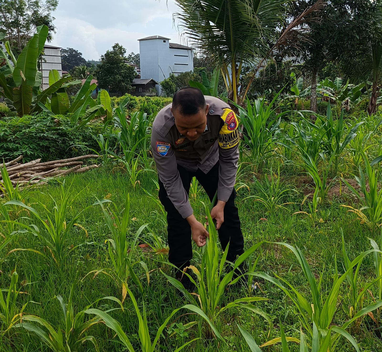 Mendukung Ketahanan Pangan, Personil Polsek Katingan Hulu Cek Lokasi Pemanfaatan Pekarangan Warga.