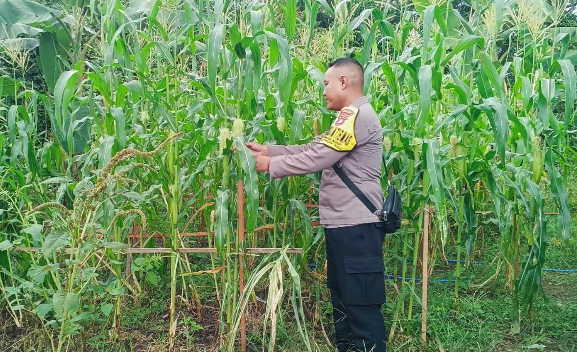 Bhabinkamtibmas Polsek Sanaman Mantikei melaksanakan Patroli sambang Kamtibmas