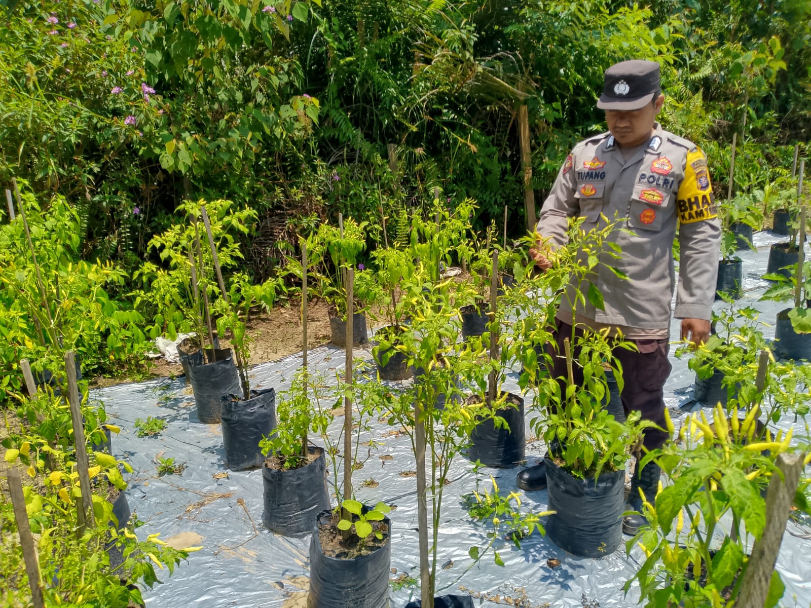 Polsek Marikit melaksanakan kegiatan pengecekan pemanfaatan lahan dalam program Ketahanan Pangan bentuk Dukungan terhadap Kebijakan Presiden RI tentang Asta Cita Ketahanan Pangan