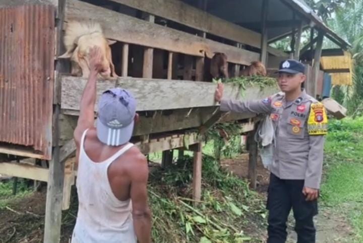 Dukung Ketahanan Pangan, Bhabinkamtibmas Sambangi Peternak Kambing
