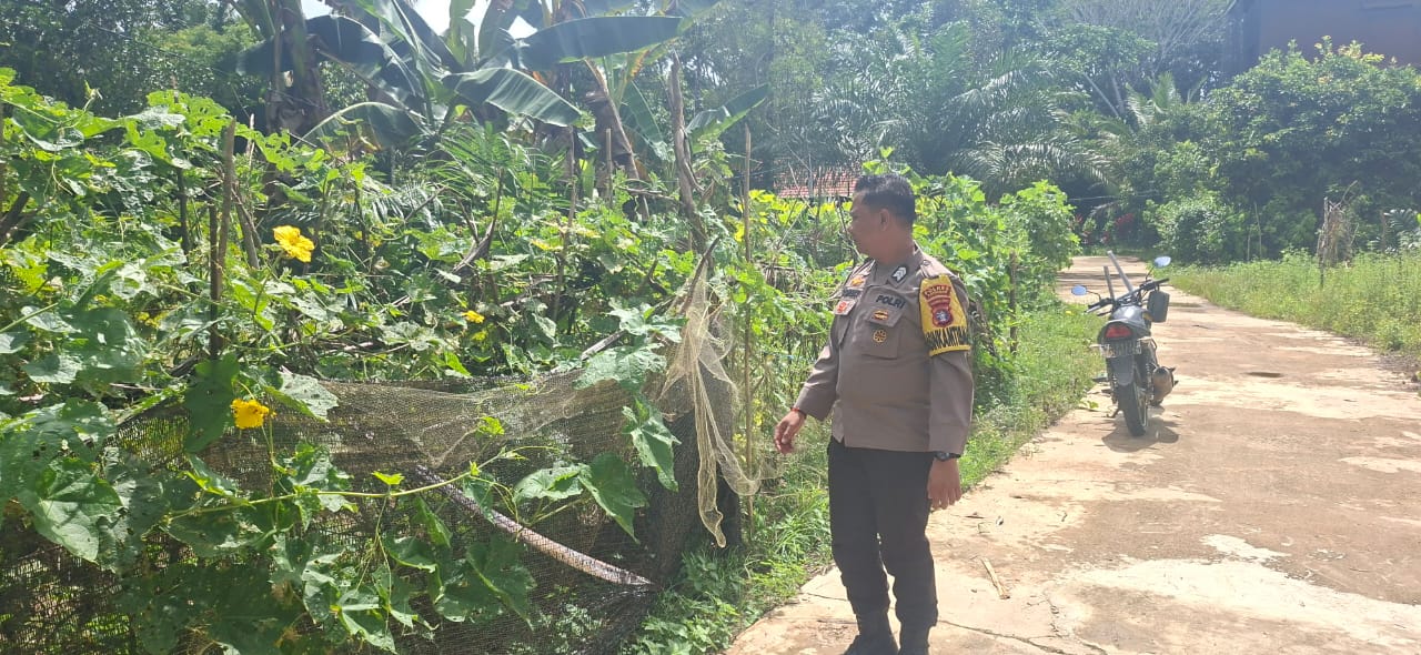 Mendukung Ketahanan Pangan, Personil Polsek sanaman mantikei Cek Lokasi Pemanfaatan Pekarangan Warga.