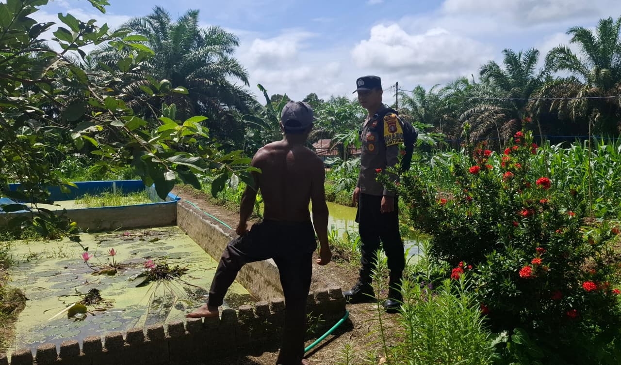 Dukung Ketahanan Pangan, Bhabinkamtibmas Cek Budidaya Ikan Nila Merah