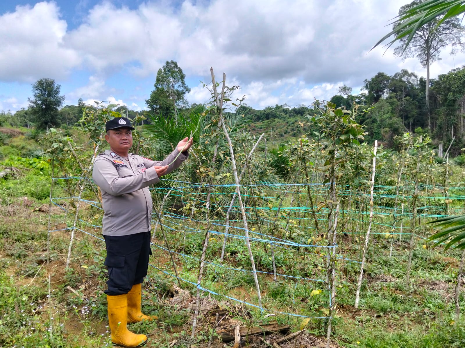 Dukung Ketahanan Pangan, Piket Polsek Marikit Cek Lokasi Pemanfaatan Pekarangan.