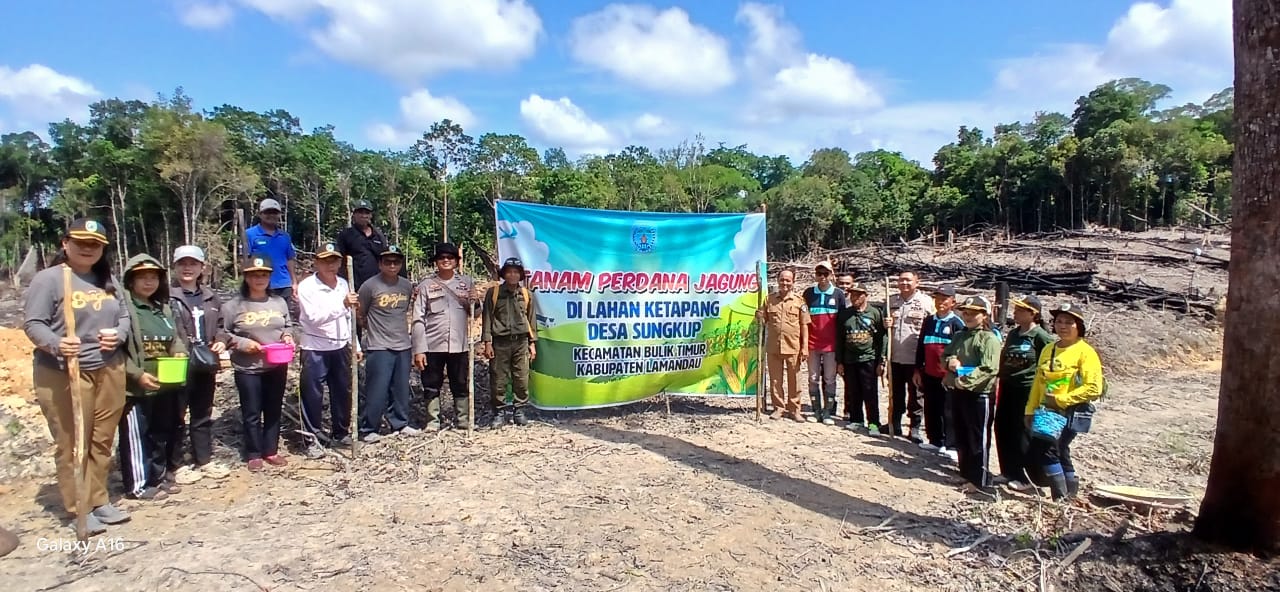Bhabinkamtibmas Bersama Pemerintah Desa Sungkup dan Warga Tanam Jagung di Lahan TKD seluas 1 Hektare