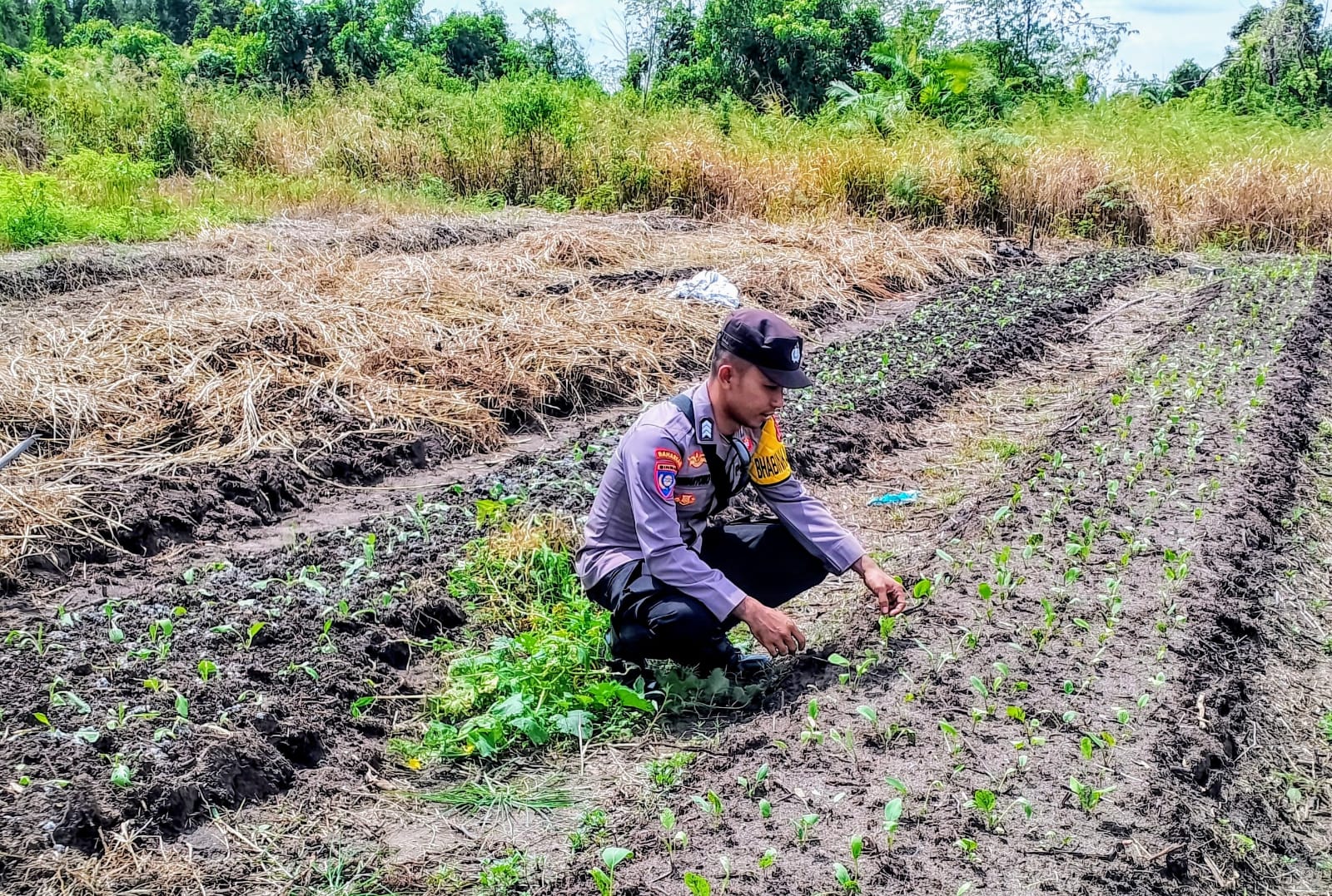 Dalam Rangka Mendukung Ketahanan Pangan, Personil Polsek Katingan Kuala Melakukan Pengecekan Lokasi Pemanfaatan Lahan Pekarangan Warga