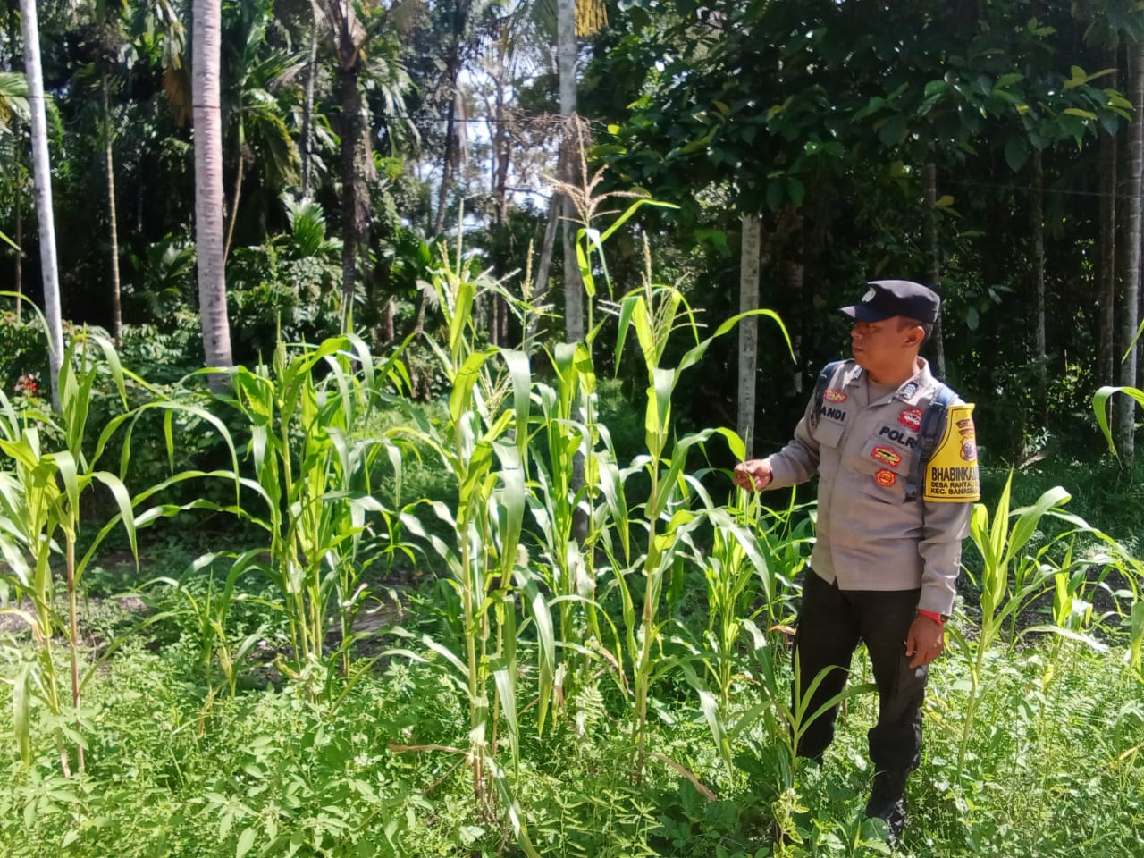 Dukung Program Ketahanan Pangan Asta Cita Pemerintah Polsek Marikit Cek Lokasi Pemanfaatan Pekarangan Warga di Kec. Marikit, Kab. Katingan.