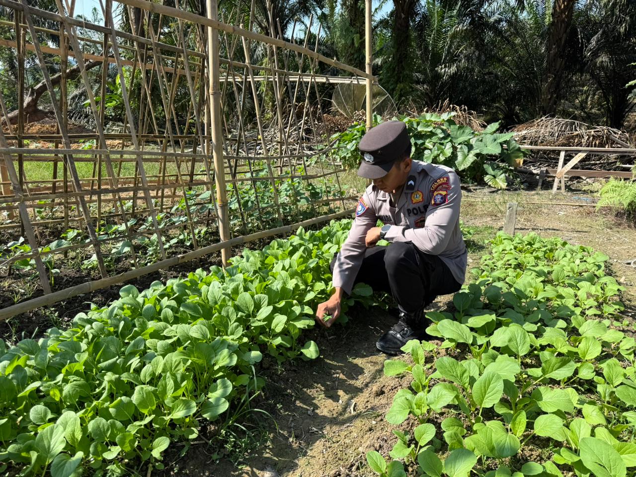 Dukung Ketahanan Pangan, Bhabinkamtibmas Polsek Bulik Silaturahmi ke masyarakat terkait Program Asta Cita Presiden RI