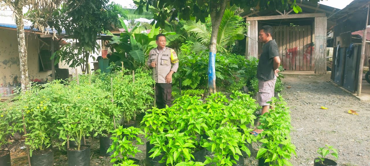 Dukung Ketahanan Pangan, Bhabinkamtibmas Polsek Bulik Silaturahmi ke masyarakat terkait Program Asta Cita Presiden RI