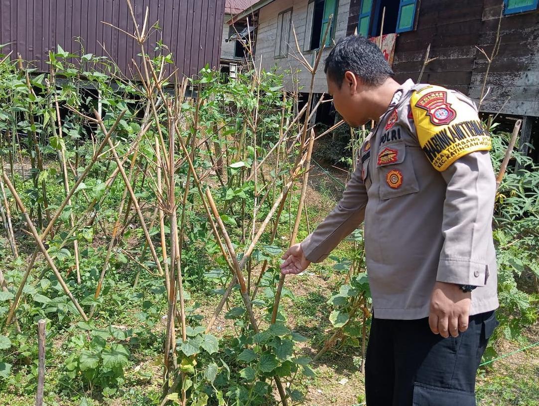 Mendukung Ketahanan Pangan, Personil Polsek Katingan Hulu Cek Lokasi Pemanfaatan Pekarangan Warga.